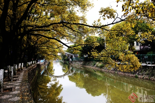 00300170963_2e735619