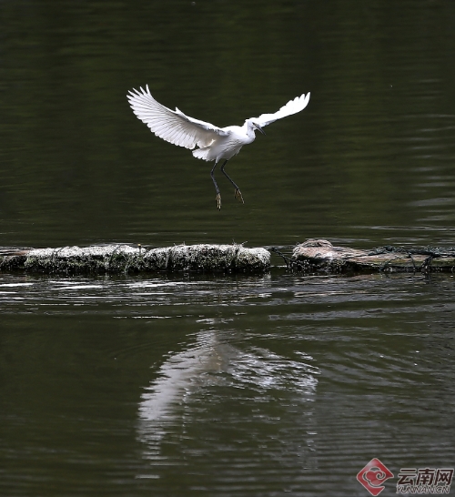 00300170965_b6847428