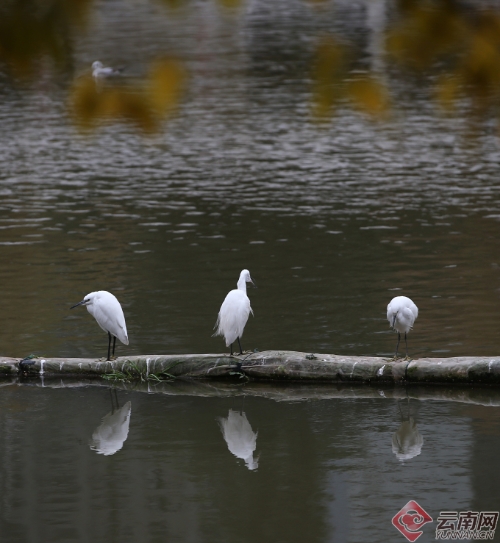 00300170966_cfc6218e