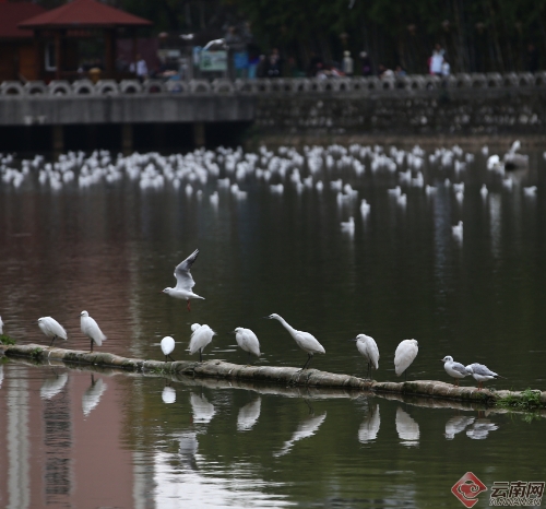 00300170967_64496de1