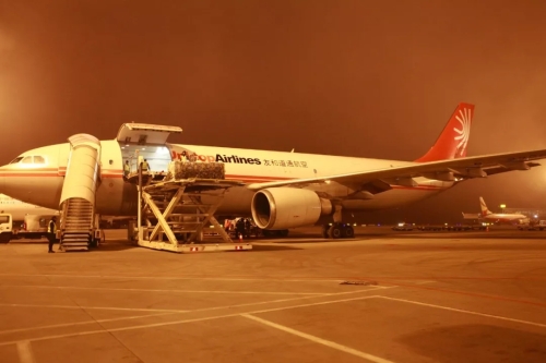 640.webp (10) 640.webp (10)