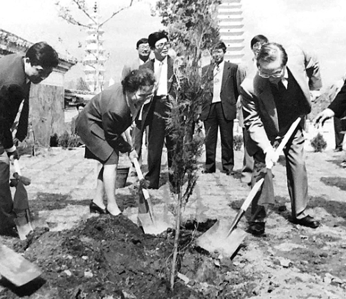 QQ截圖20181031092431