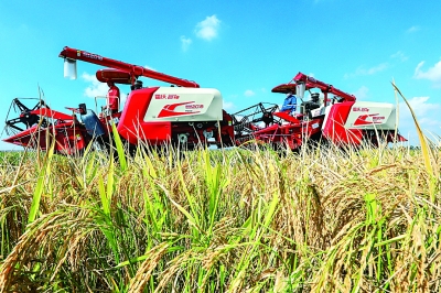 以求實(shí)品格推進(jìn)新時代全面深化改革