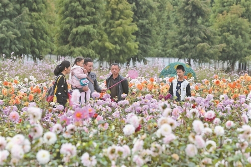 2018110107_res07_attpic_brief 2018110107_res07_attpic_brief