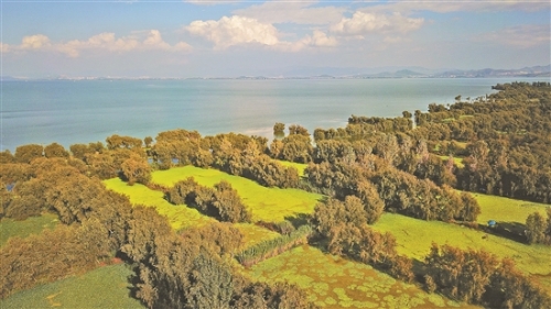 2018110107_res11_attpic_brief 2018110107_res11_attpic_brief