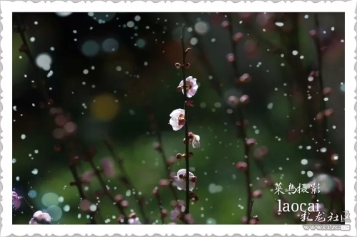 640.webp (1) 640.webp (1)