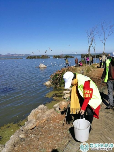 QQ圖片20180115152424 QQ圖片20180115152424