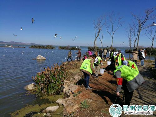 QQ圖片20180115152447 QQ圖片20180115152447