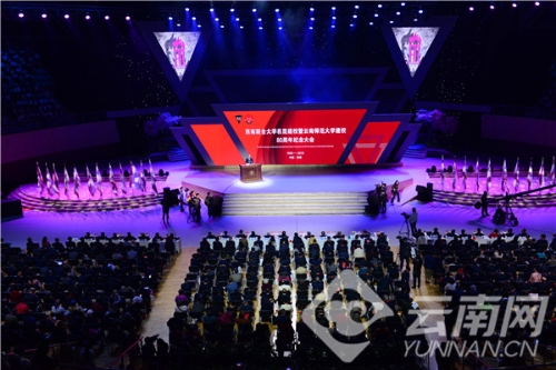 00300174042_d5c514db 00300174042_d5c514db