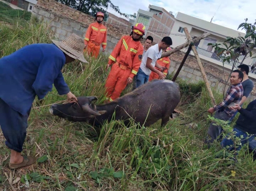 微信圖片_20181102095946 微信圖片_20181102095946