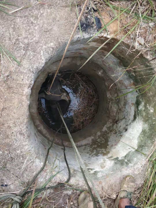 微信圖片_20181102095920 微信圖片_20181102095920