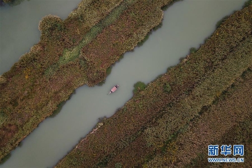 f44d30758a2f1d49d7ff18