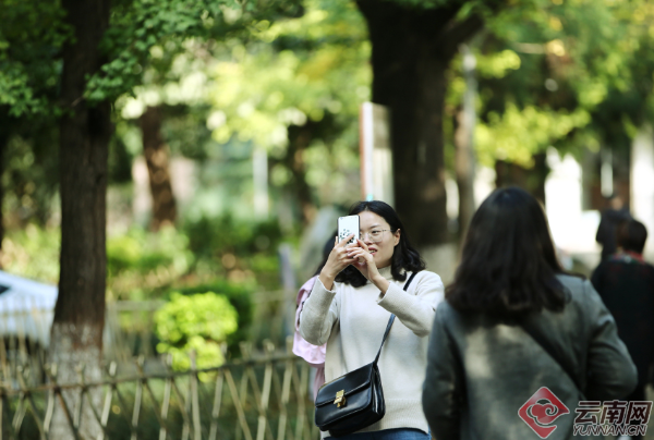 00300179990_90d87045 00300179990_90d87045