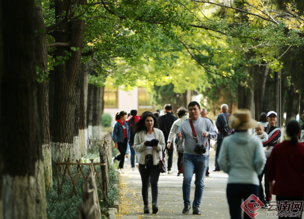 00300179992_6cdf36a0 00300179992_6cdf36a0