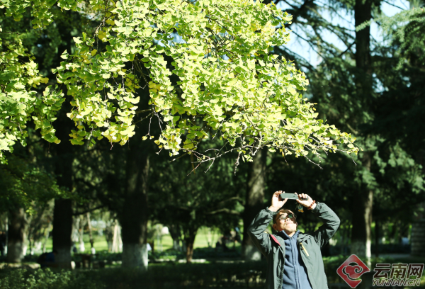 00300179998_47831dbd 00300179998_47831dbd