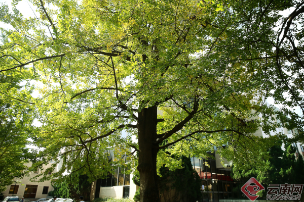 00300180012_7d2fa28e 00300180012_7d2fa28e