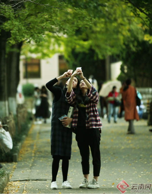 00300180013_ed6bbace 00300180013_ed6bbace