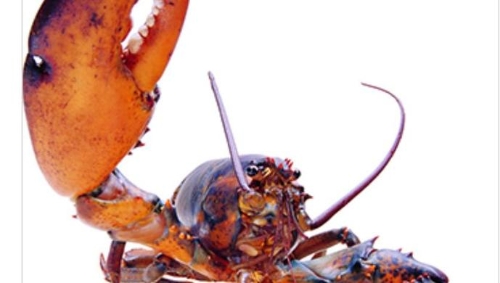 c2b35855-3b30-47ea-9c79-c42ef8502b2e c2b35855-3b30-47ea-9c79-c42ef8502b2e