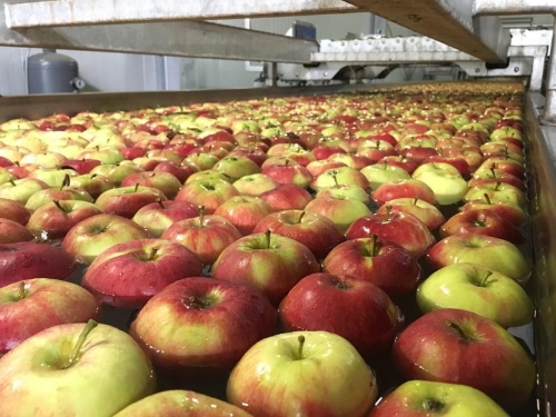 45f05313-c00e-4cd6-82c5-f9a42d178d37 45f05313-c00e-4cd6-82c5-f9a42d178d37