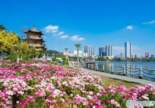 005M94J9ly4fw2zb9ugfxj30dw09r43d