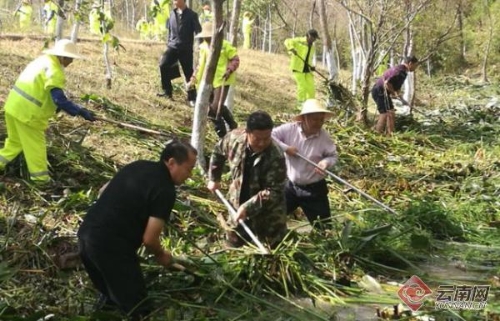 00300182262_5528ad74 00300182262_5528ad74