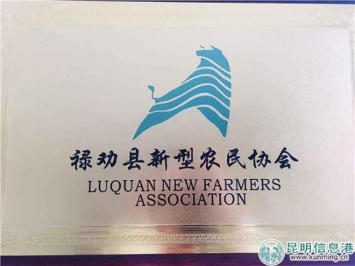 祿勸新型職業(yè)農(nóng)民協(xié)會(huì)掛牌成立。