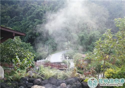 IMG_20181109_181117_副本 IMG_20181109_181117_副本