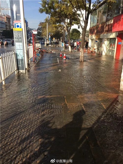 64015.webp 64015.webp