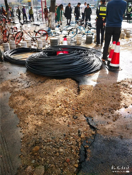 64020.webp 64020.webp