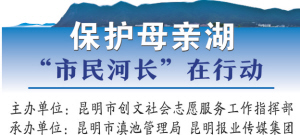 11981542126504387 11981542126504387