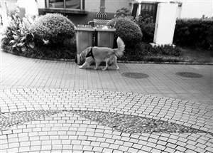 20181114A05_res04_attpic_icon