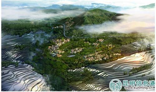 哈尼梯田2 哈尼梯田2