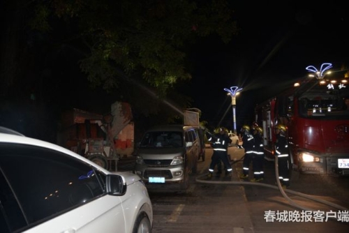 大樹著火 秦蒙琳 通訊員 汪偉杰 攝