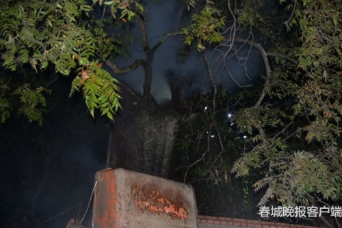 大樹著火 秦蒙琳 通訊員 汪偉杰 攝