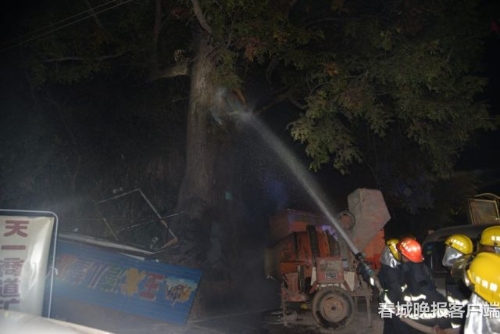大樹著火 秦蒙琳 通訊員 汪偉杰 攝