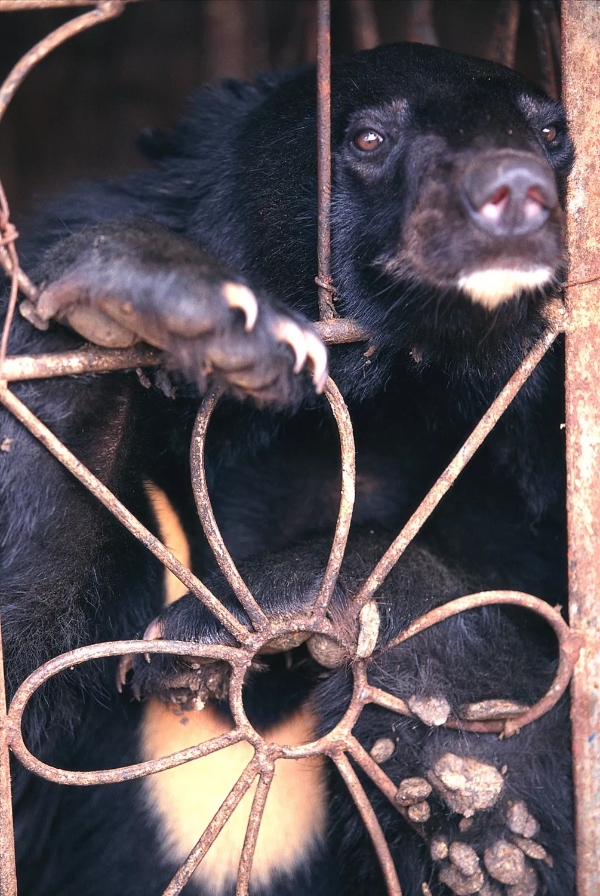 640.webp (6) 640.webp (6)