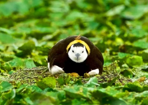 640.webp (9) 640.webp (9)