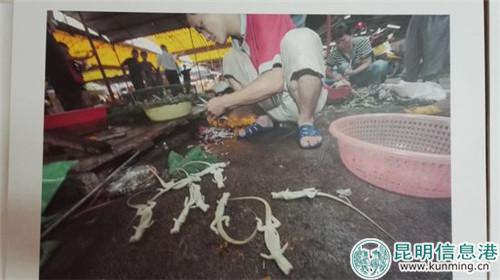 攝影展上展示的照片