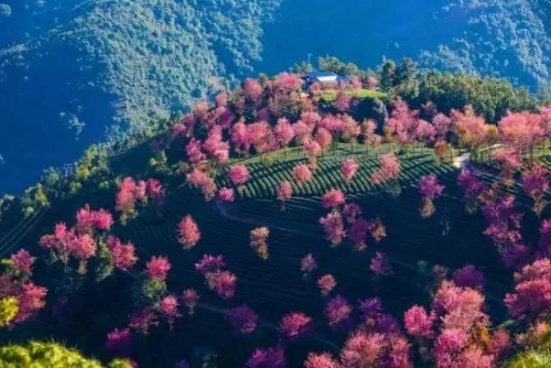 微信圖片_20181120154622 微信圖片_20181120154622