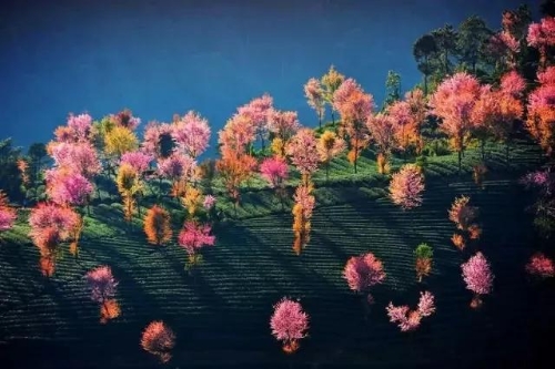 微信圖片_20181120154629 微信圖片_20181120154629