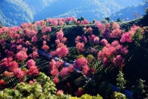 微信圖片_20181120154634 微信圖片_20181120154634