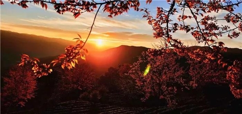 微信圖片_20181120154637 微信圖片_20181120154637