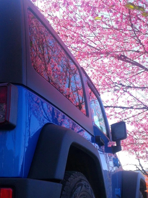 微信圖片_20181120154642 微信圖片_20181120154642