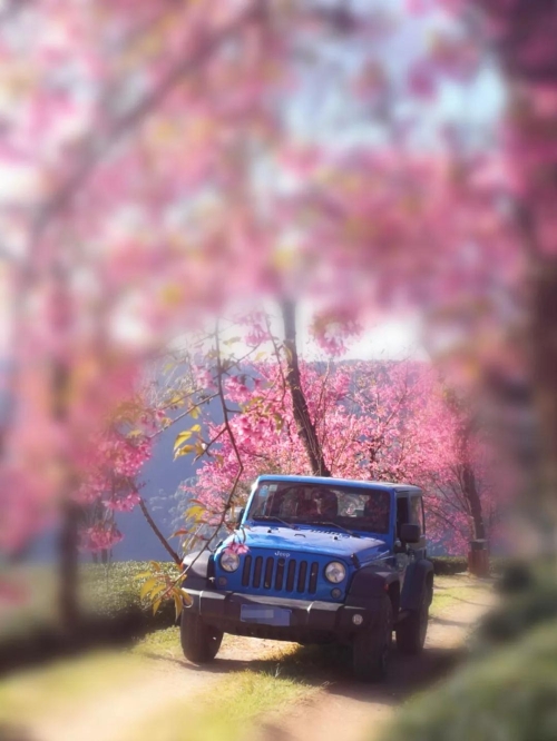 微信圖片_20181120154645 微信圖片_20181120154645