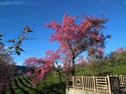 微信圖片_20181120154653 微信圖片_20181120154653