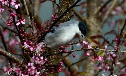 微信圖片_20181120154700 微信圖片_20181120154700