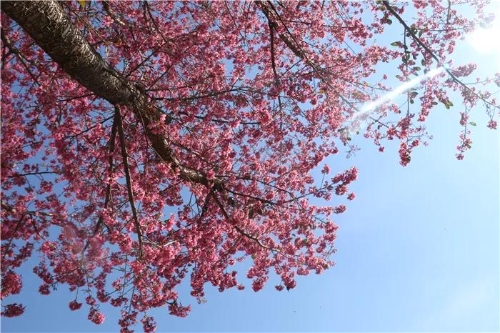 微信圖片_20181120154718 微信圖片_20181120154718