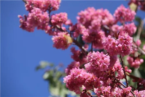 微信圖片_20181120154724 微信圖片_20181120154724