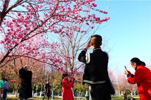 微信圖片_20181120154726 微信圖片_20181120154726