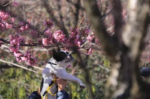 微信圖片_20181120154729 微信圖片_20181120154729